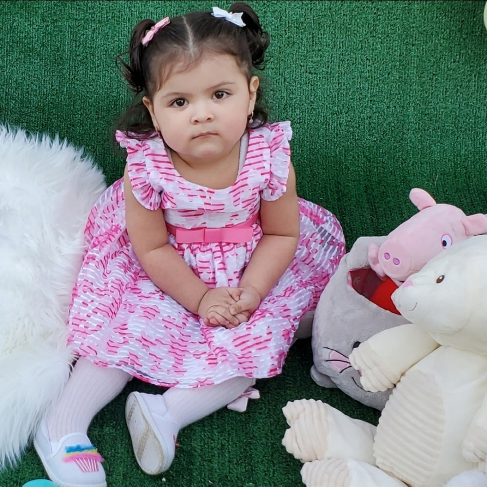 Sweet Heart Rose dress 🎀